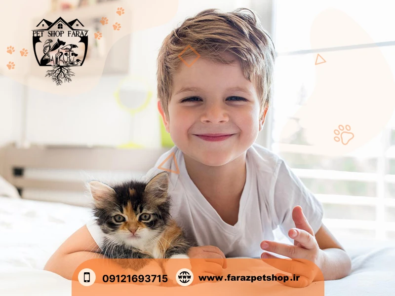 خرید بچه گربه برای کودکان