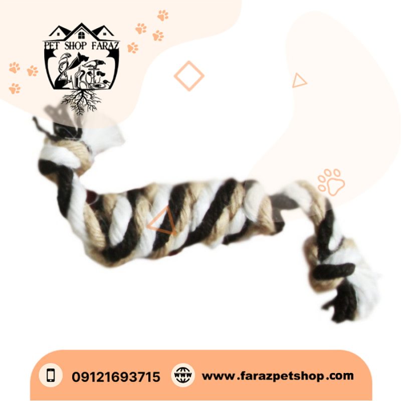 اسباب بازی توله سگ مسترکاپالو مدل FK11CB1 (1)