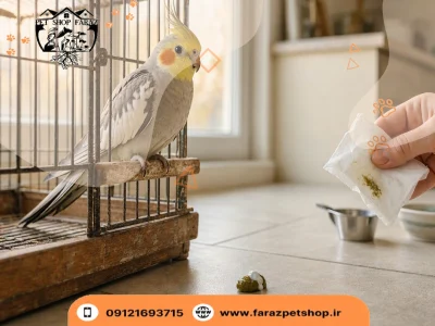 آیا فضله عروس هلندی نجس است؟