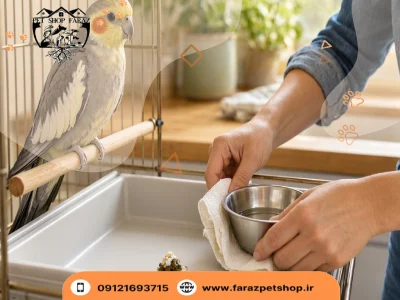 آیا مدفوع عروس هلندی نجس است سیستانی