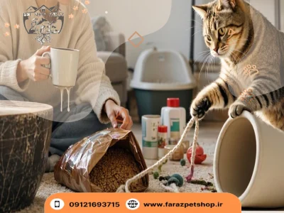 نکاتی در مورد نگهداری گربه در آپارتمان