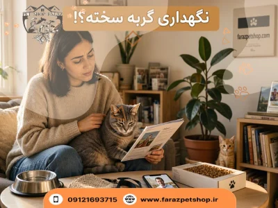 نگهداری گربه سخته؟!