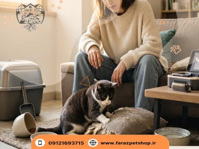  همه چیز درباره نگهداری از گربه های خانگی